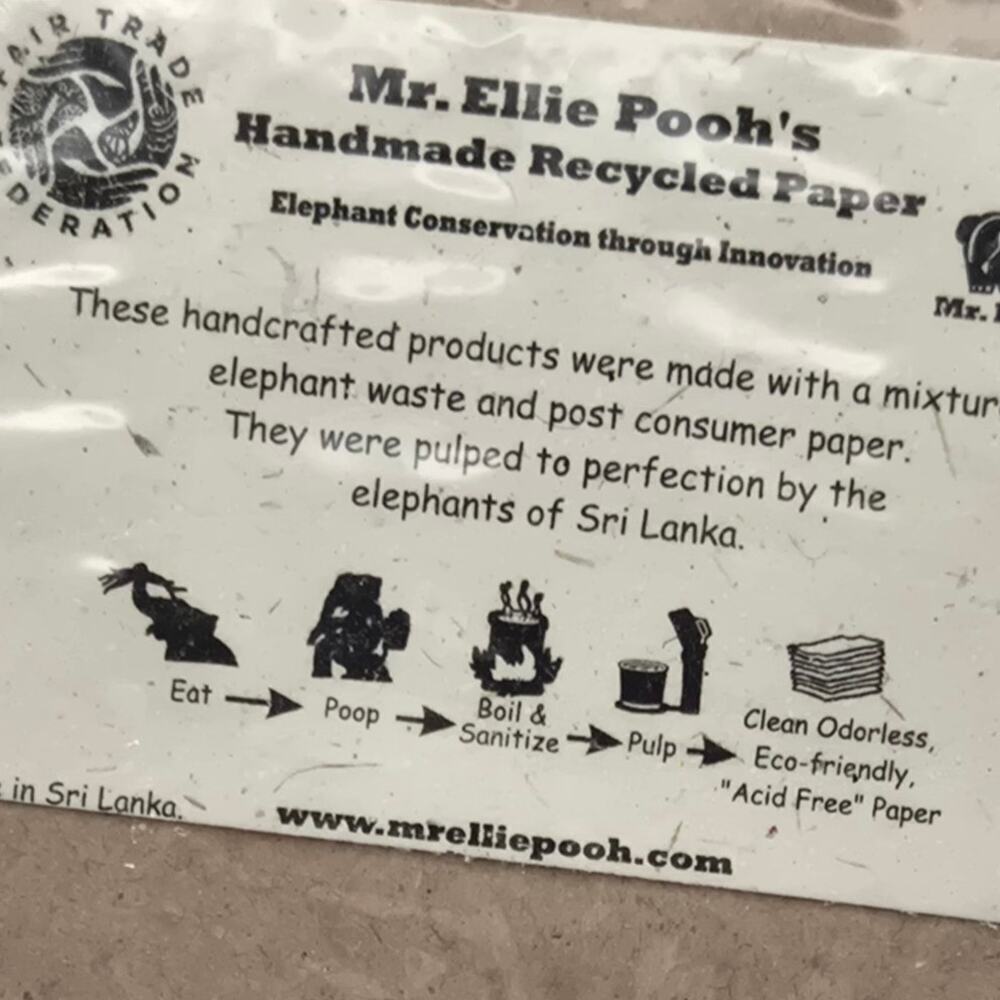 Mr. Ellie Pooh Eco-Friendly Note Pad - Picture 2 of 4
